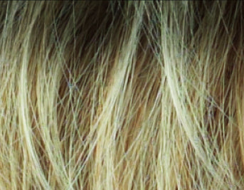 Rousseau Mono Wig - Stimulate HUMAN HAIR Ellen Wille