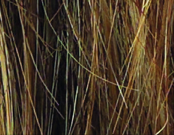 Amer Wig - Stimulate SYNTHETIC - Ellen Wille