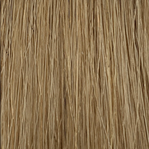 India Wig - Hair World