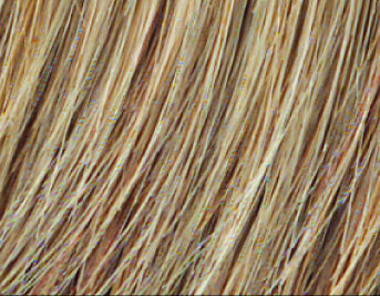Calliope Wig - Stimulate SYNTHETIC - Ellen Wille