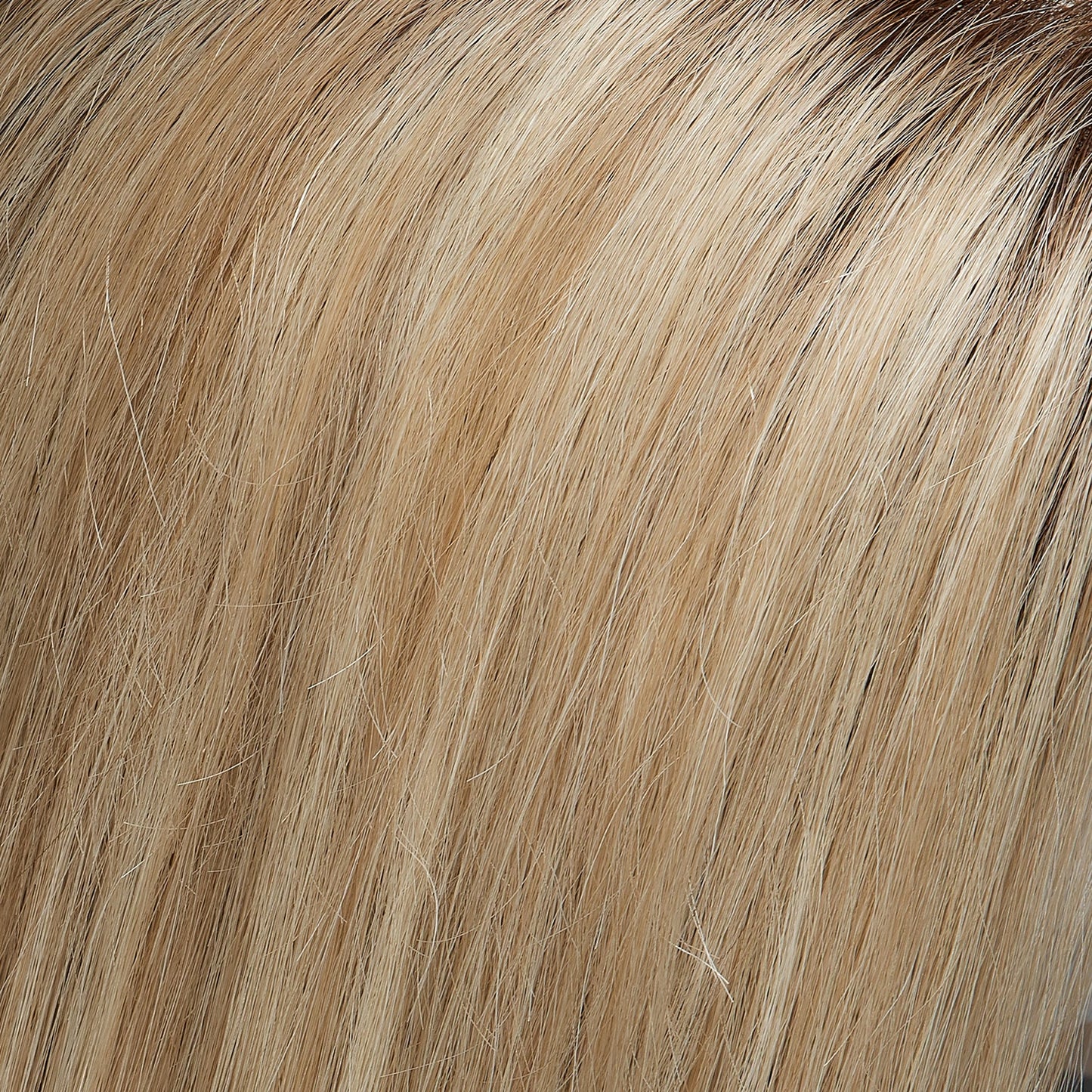 Carrie Lite Human Hair - Jon Renau SmartLace Lite.