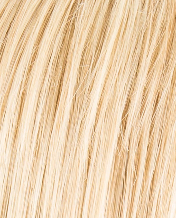 Cher  - Hair Power Ellen Wille