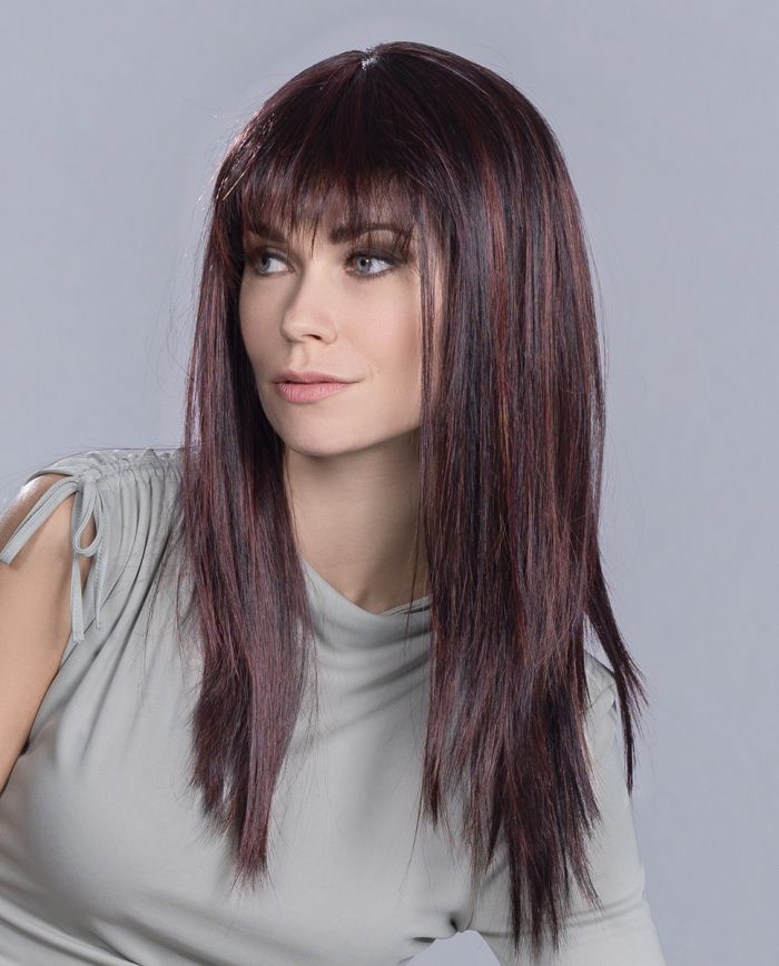Cher  - Hair Power Ellen Wille