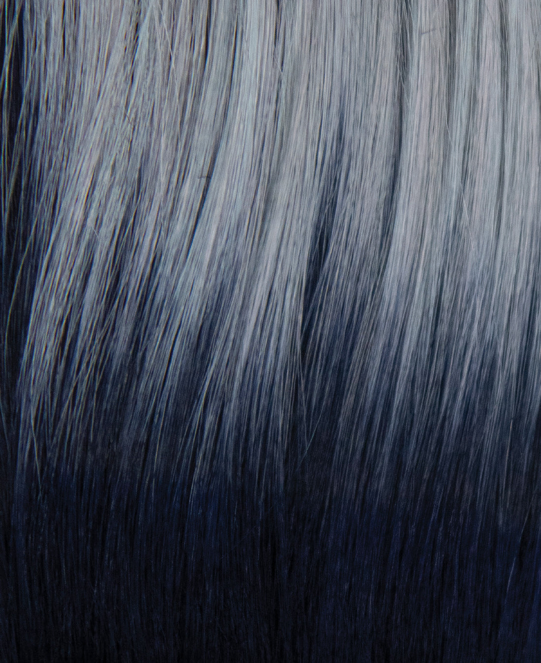 Cosmo Sleek - Muse Series by Rene of Paris.