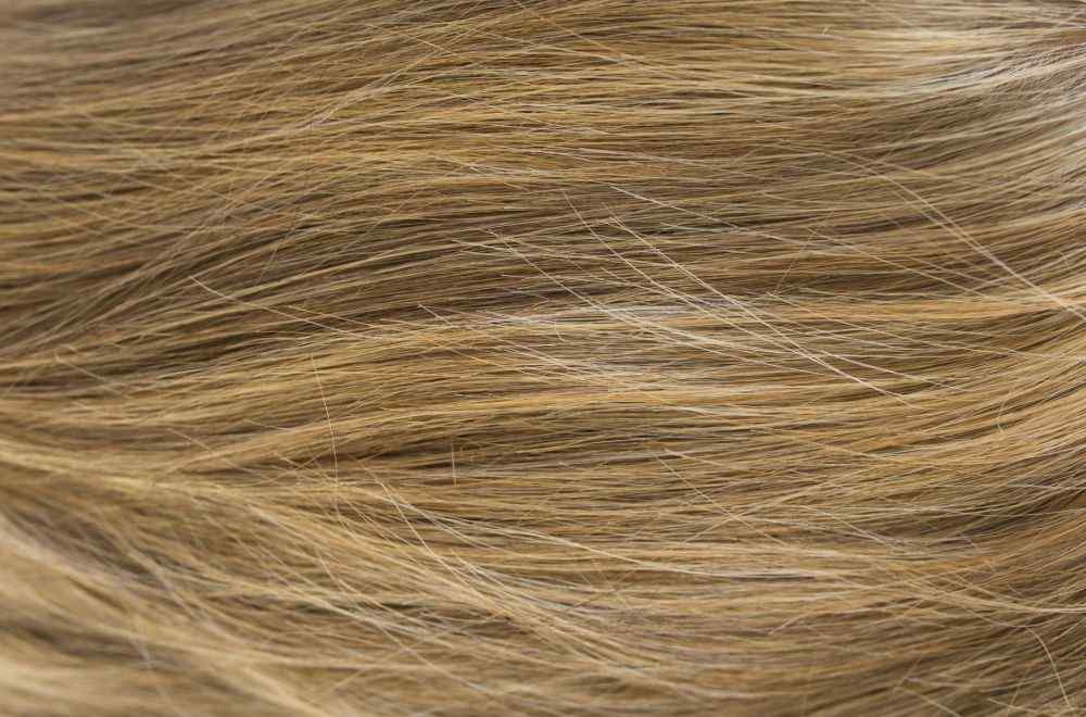 Coco Wig - Hi Fashion.