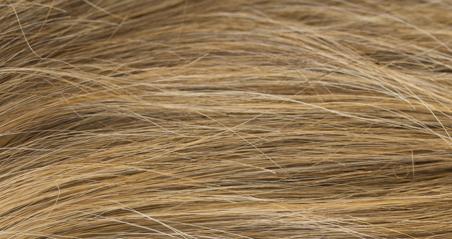 New Addition - Hi Fashion.