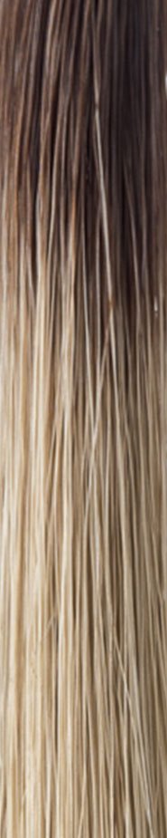 Coco Wig - Hi Fashion.