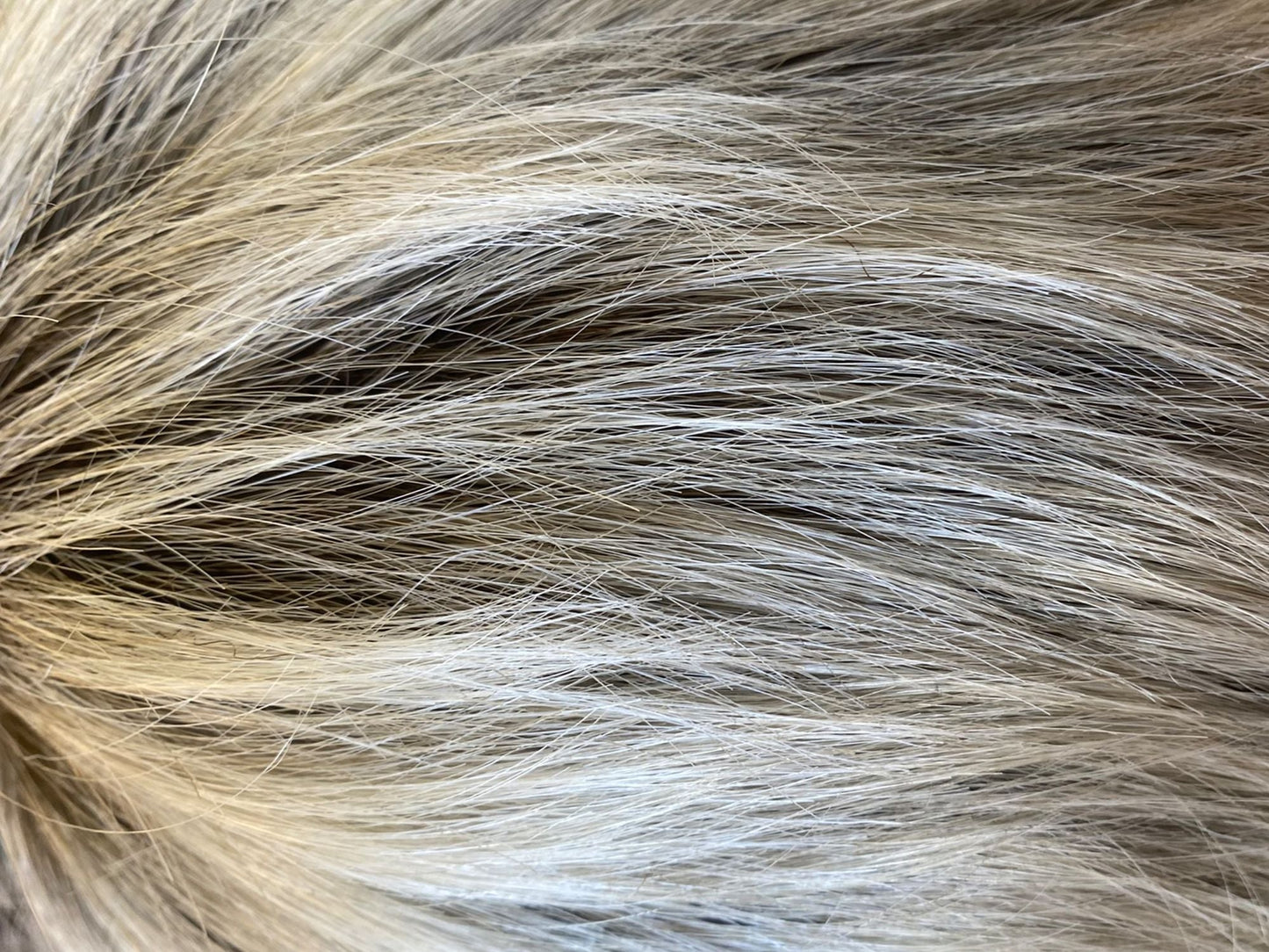 Jasmine Wig - Sentoo Lotus Collection