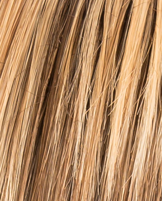 Cher  - Hair Power Ellen Wille