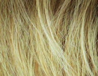 Rousseau Mono Wig - Stimulate HUMAN HAIR Ellen Wille