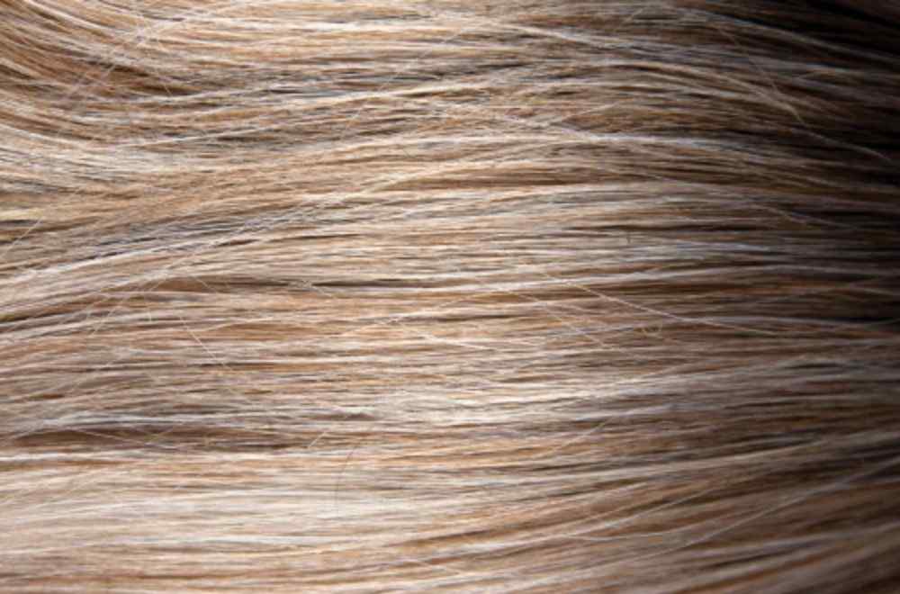 Luxe Sleek - Muse Series by Rene of Paris.