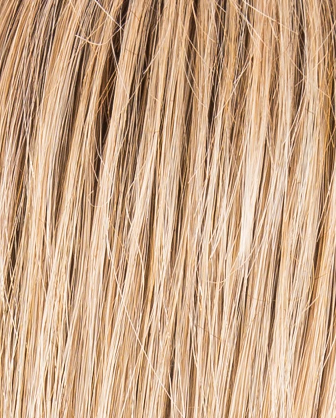 Cher  - Hair Power Ellen Wille