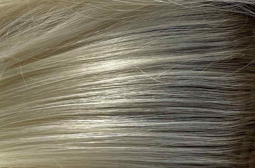 Pax synthetic wig - Hi Fashion.