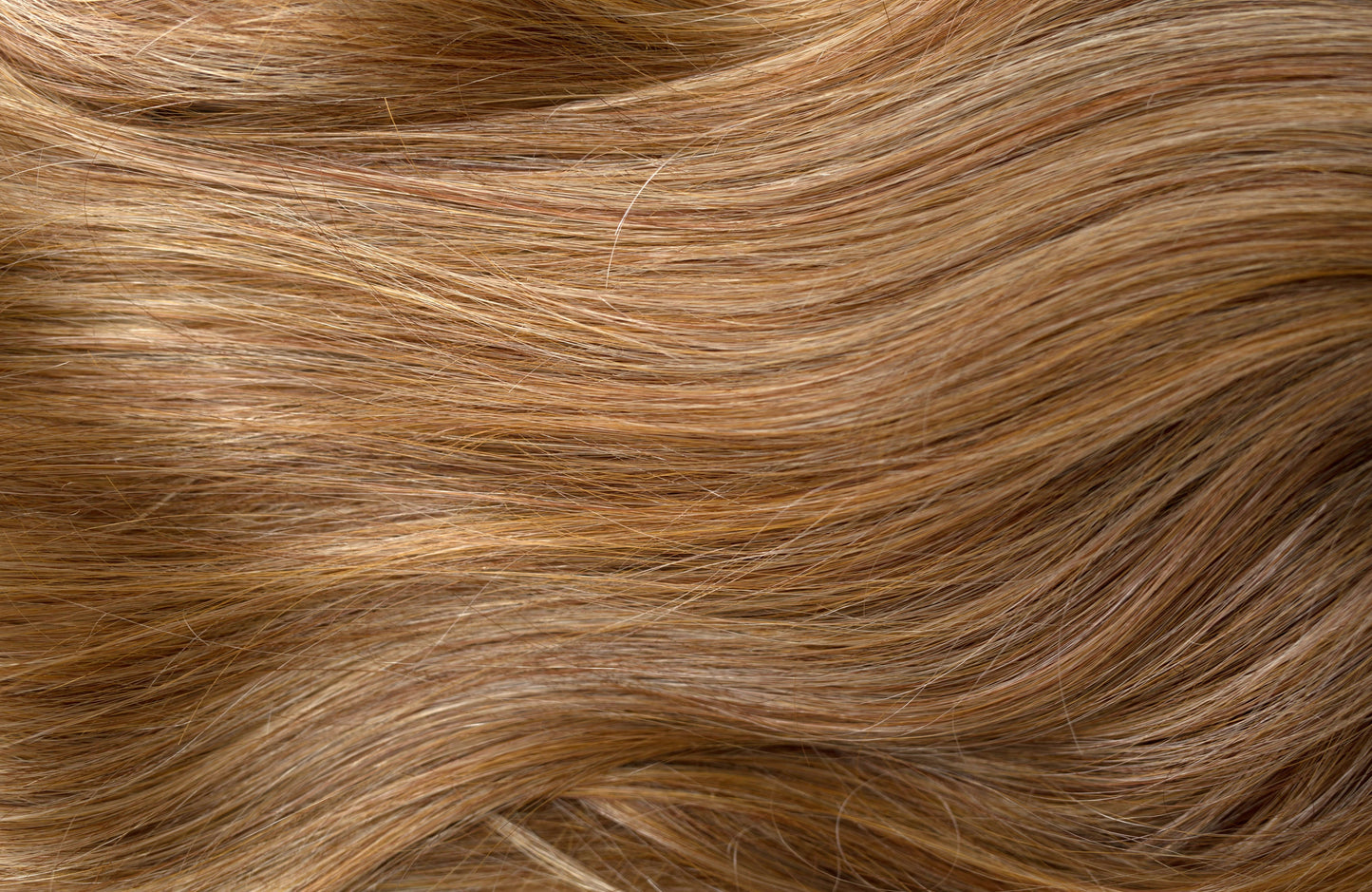 Aster Wig - Sentoo Lotus Collection